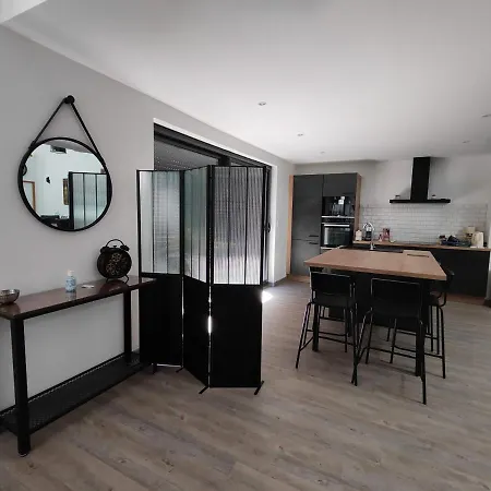 O Loft - 3 Chambres Avec 3 Salles De Bains - Parking - Climatisation Albi Exterior photo