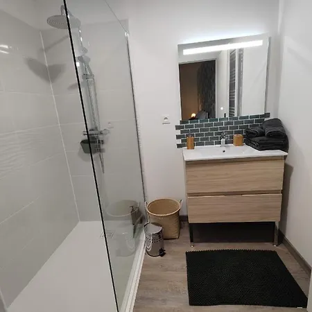O Loft - 3 Chambres Avec 3 Salles De Bains - Parking - Climatisation Albi Exterior photo